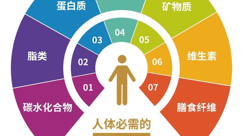 儿童营养补充剂代理加盟条件